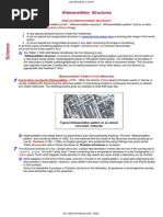 Widmanstätten Structures