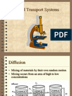 Cell Transport System