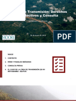 Línea de Transmisión: Derechos Colectivos y Consulta