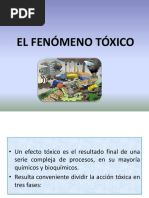 2 - El Fenómeno Tóxico