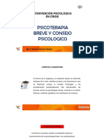 Psicoterapia Breve y Consejo Psicologico