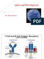 11 B-Cell Receptor