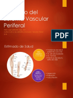 Estimado Del Sistema Periferovascular