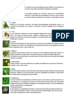 30 Plantas Medicinales