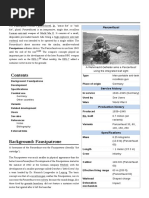 Panzerfaust: Panzerfaust's Direct Ancestor Was The Similar, Smaller-Warhead