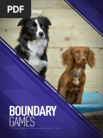 BoundaryGames V5