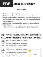 Anaerobic Respiration