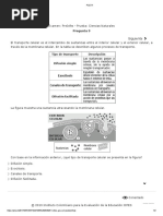 Fisica 1