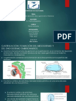 Exposición1 - Tercera Semana Del Desarrollo Embrionario