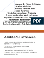 Anatomia Duodeno y Yeyuno