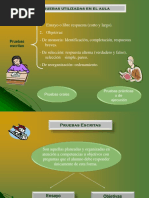 Pruebas Utilizadas en El Aula PDF