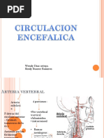 Circulacion Encefalica.1