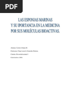 Poriferos y Su Relación Con La Biotecnología Roja.3000