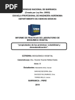 Informe Bioquimica N°4