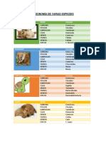 Taxonomía de Varias Especies