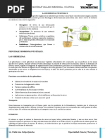 Teoria y Practica de Las Hormosnas Vegetales - CVM 2018