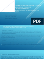 Gestión de La Seguridad Funcional y Evaluación