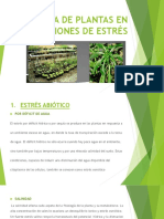 Fisiología de Plantas en Condiciones de Estrés