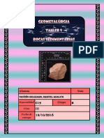 Lab 9 Determinacion de Rocas Sedimentarias - Triveño Belizario