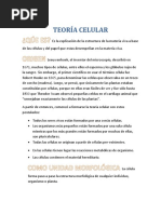 Teoría Celular