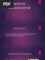 Terapeuta Ocupacional