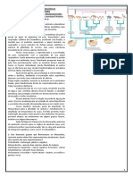 Enviando Deuterostomados Resumo Aula 20 Como