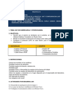 Informe 3 Nat y Lapc en CISCO 