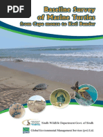 Marine Turtle Survey Along The Sindh Coast