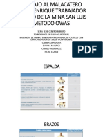 PDF Documento