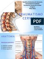 Traumatismo Cervical