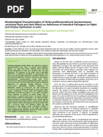 Morphological Characterization of Pichia Guilliermondii and Saccharomyces Cerevisiae Yeast and Their Effects On Adherence of Intes