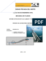 Informe Ensayo de Flujo Laminar y Turbulento-1