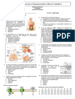 7º Prueba Objetiva Biología 3er Periodo