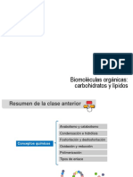 Biomoléculas Orgánicas Carbohidratos y Lípidos