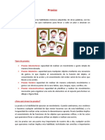 PDF Documento