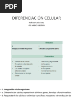 Diferenciación Celular