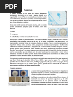 Fusarium, Gliodadium y Moniliophthora