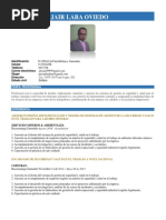 CV Alexander Lara 2019