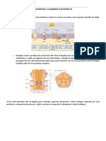 Receptores de Membrana e Acoplados À Proteina G
