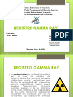 Registro Gamma Ray