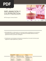 Inflamacion y Cicatrizacion