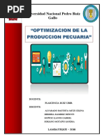 Optimizacion de La Produccion Pecuaria