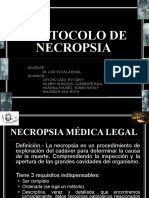 Protocolo de Necropsia 2