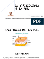 Anatomia y Fisiologia de Piel