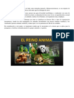 Reino Animal