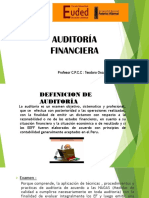 Auditoria Financiera y Nagas