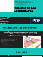 16 Metabolismo de Carbohidratos