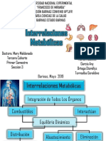 19 Interrelaciones Metabólicas