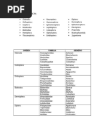 Algunos Ordenes de Clase Insecta