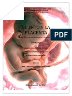 El Feto y La Placenta Trabajo Final